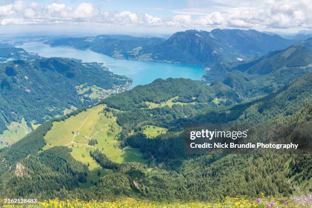 salzkammergut , austria. - attersee stock-fotos und bilder