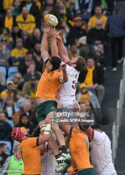 Nicholas Frost Rugby 967 Georgia Frost Stock Photos, High-Res Pictures, and Images - Getty ...