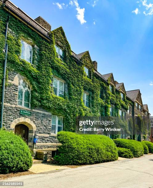vines growing on stone row residences, bard college, annandale-on-hudson - ivy on building stock pictures, royalty-free photos & images