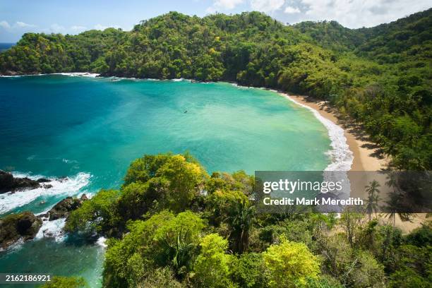 englishmans bay high view, tobago - trinidad and tobago stock pictures, royalty-free photos & images