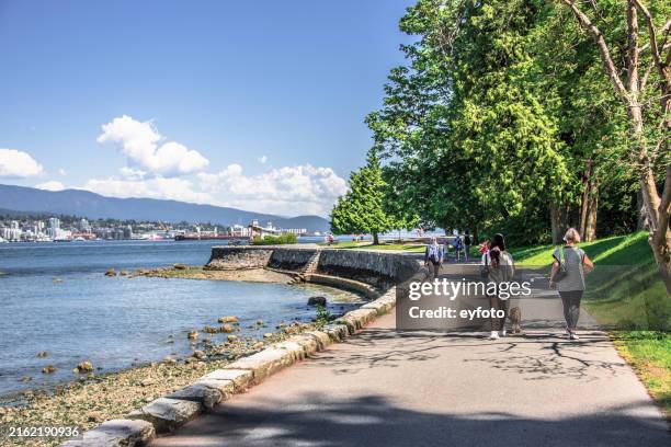 spaziergang durch den stanley park - trail britisch kolumbien stock-fotos und bilder