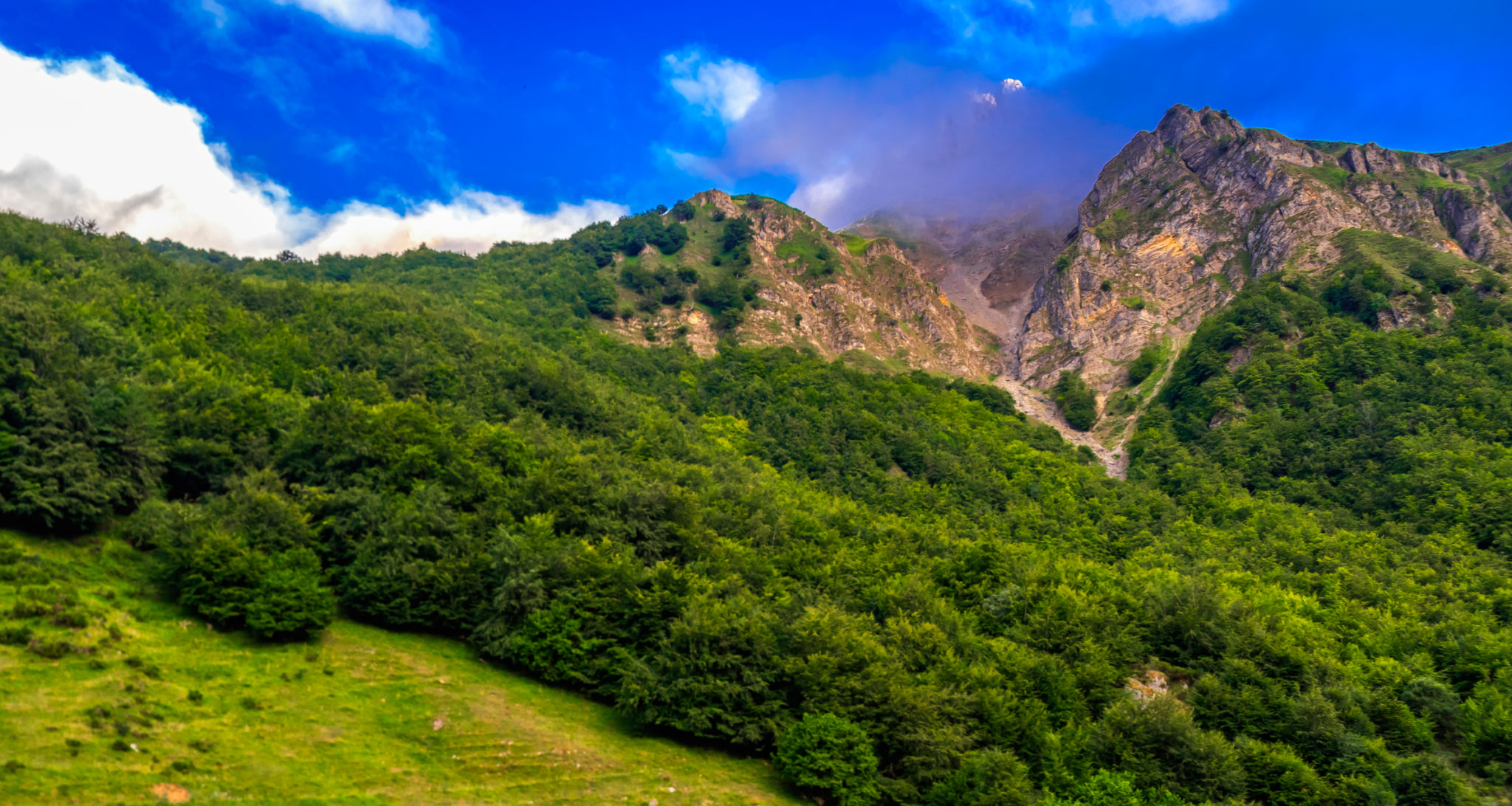 nature park