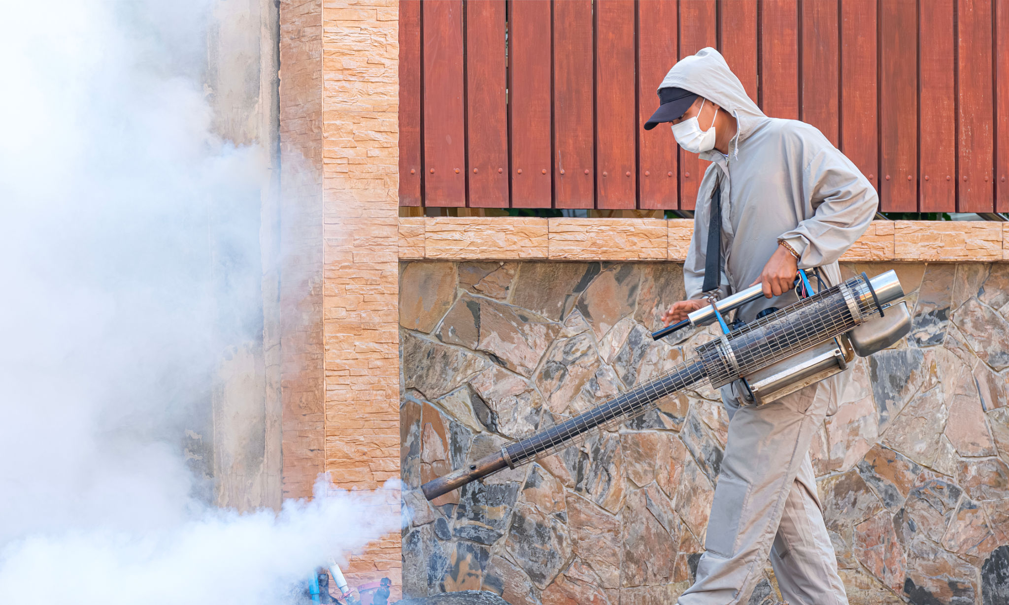 local pest control