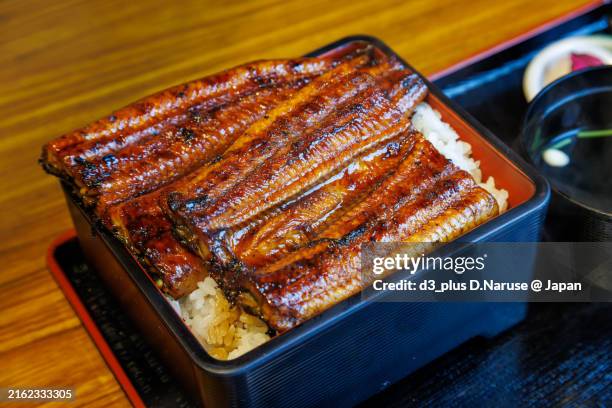 unagi画面 Best Unagi in Royal Palm Beach, FL | Kenzo Thai & Sushi