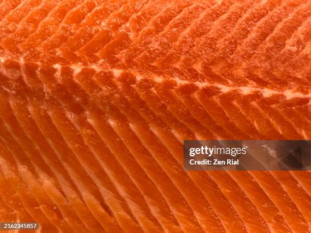 plastic wrapped frozen salmon fillet in full frame - frozen fish fillets stockfoto's en -beelden