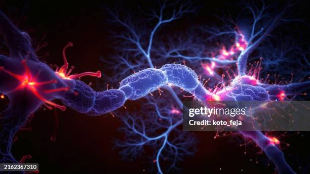 neuron system disease - neurowissenschaften stock-fotos und bilder