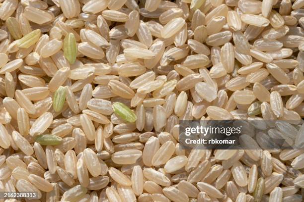 organic brown rice for healthy cooking - close-up of wholegrain rice grains - brown rice stock pictures, royalty-free photos & images