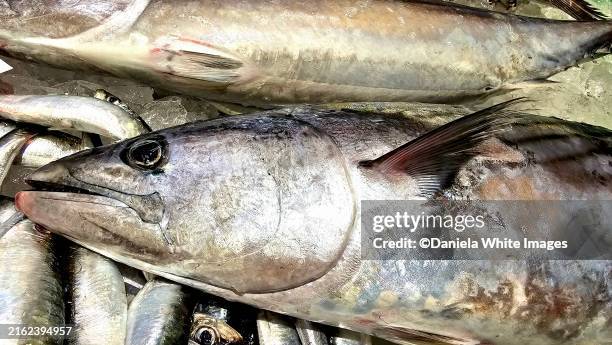 Mexico Cod Fish 400 Cod Fish In Spanish Stock Photos, High-Res Pictures, and Images ...