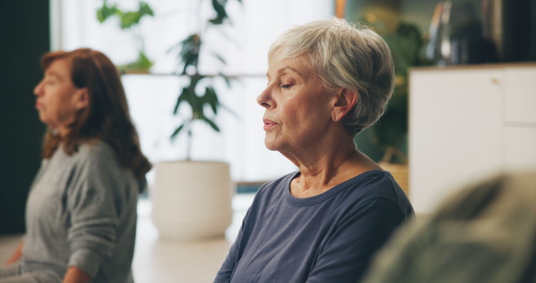 meditation community