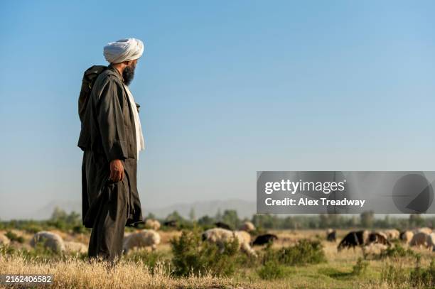 afghan shephard - pathan people stock pictures, royalty-free photos & images