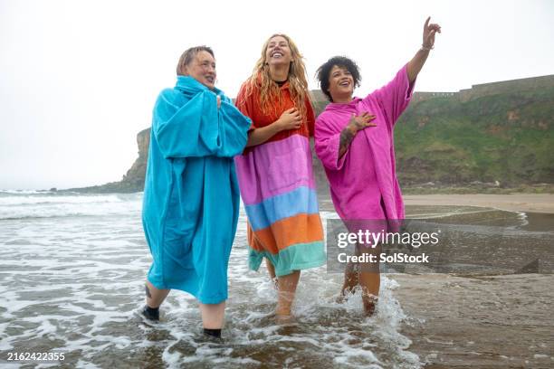 overcast day on the northern shores - tynemouth stock pictures, royalty-free photos & images