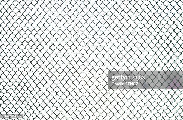 closeup wire fence aginst white background - maschendrahtzaun stock-fotos und bilder