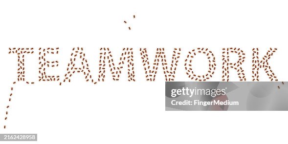 Teamwork concepts vector illustration Teamwork concepts vector illustration