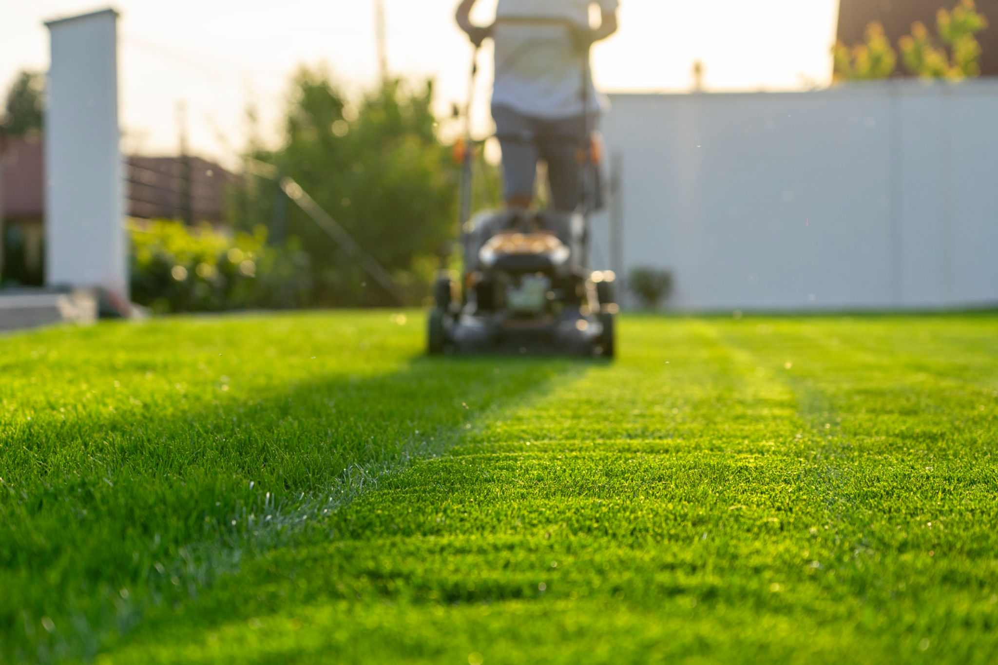 spring lawn care