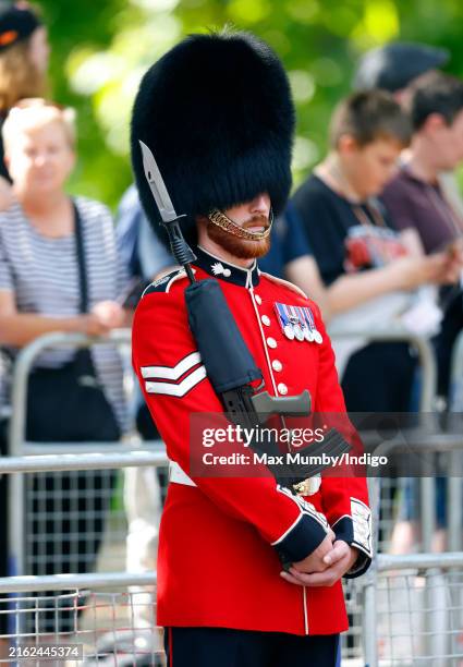 Bearded soldier of the Grenadier Guards stands on The Mall ahead of a carriage procession transporting King Charles III and Queen Camilla from...