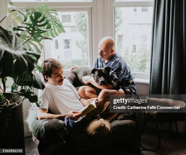 a man listens intently to his partner reading a book aloud - listening stock pictures, royalty-free photos & images