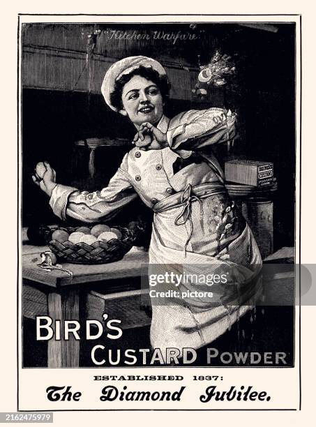 custard powder : advertising 1897 (xxxl) - egg toss stock illustrations