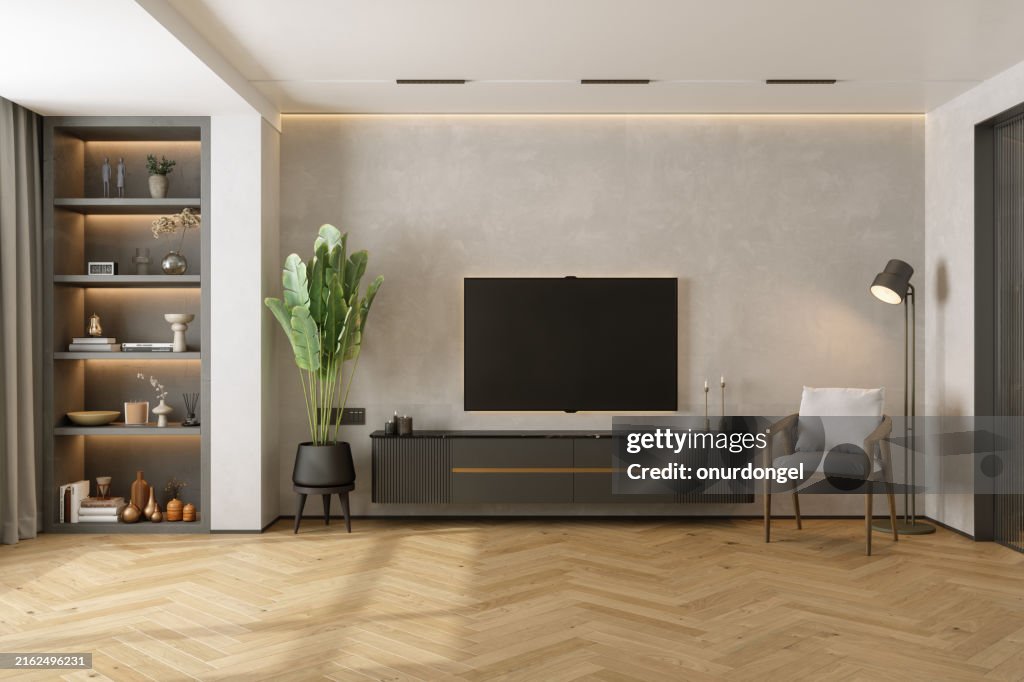 Living Room Interior With Lcd Tv Set, Potted Plant, Armchair And Decorations