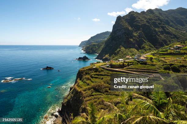 madeira landscape - funchal stock pictures, royalty-free photos & images