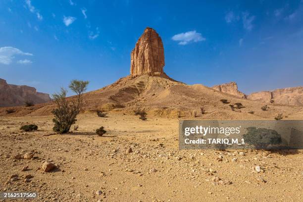 tuwaiq mountain landscape, central arabia, saudi arabia - escarpment stock pictures, royalty-free photos & images