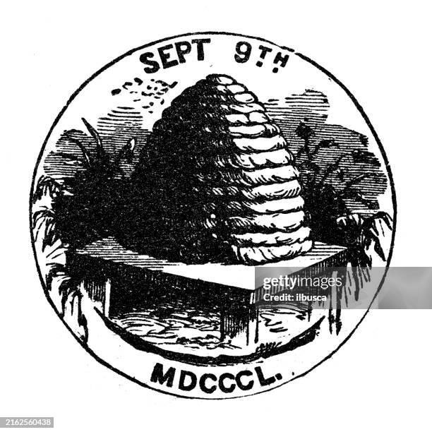 seal of usa states: utah - utah state flag stock illustrations