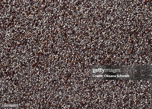 background pile of healthy dried small round black poppy seeds stacked together. healthy vegetarian and vegan food concept. - sprouted grain bread stock pictures, royalty-free photos & images