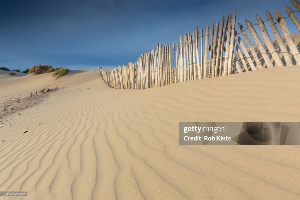 Wooden fence and sand ripples in dunes of Westduinpark near Kijkduin and Scheveningen