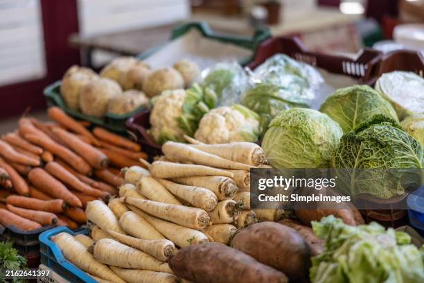fresh organic vegetables at the weekly farmers market - cabbage stock pictures, royalty-free photos & images