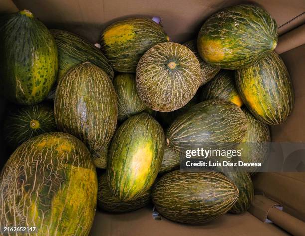 Box Ofmelon 3,816 Watermelon Farming Stock Photos, High-Res Pictures, and Images ...