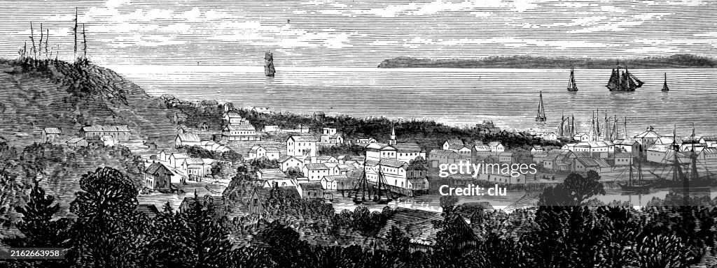 Astoria, Oregon, 1868, aerial view