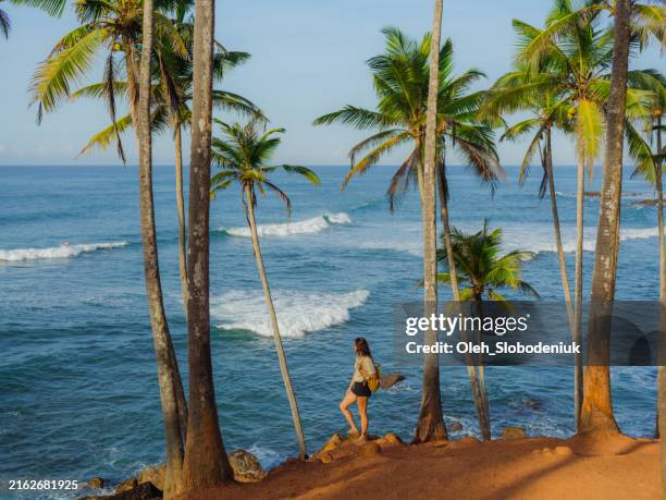 woman looking at ocean standing among palm trees grove - sri lanka stockfoto's en -beelden