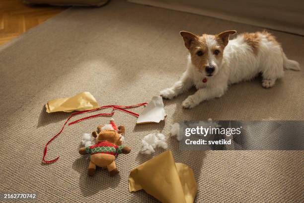 Unleashing the Christmas Cheer Dog Christmas Toy Boxes