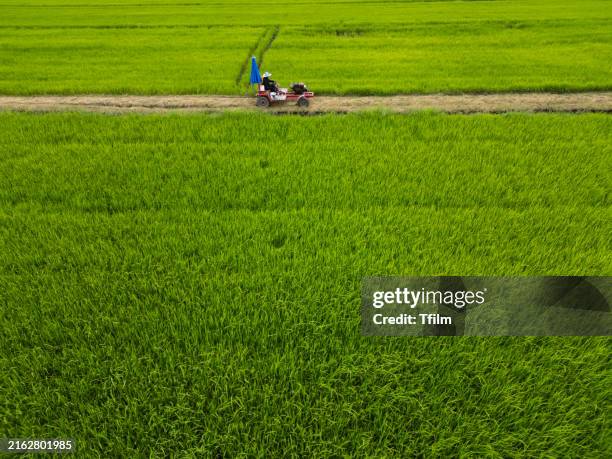 tractor harvesting in expansive green field - sod turning stock pictures, royalty-free photos & images