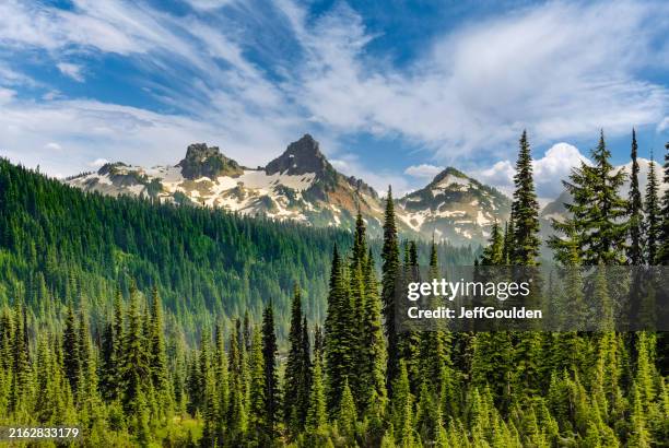 das gebirge tatoosh range und der sub-alpine wald - bundesstaat washington stock-fotos und bilder