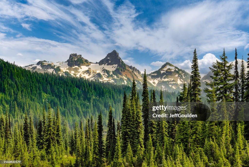 The Tatoosh Range and Sub-Alpine Forest