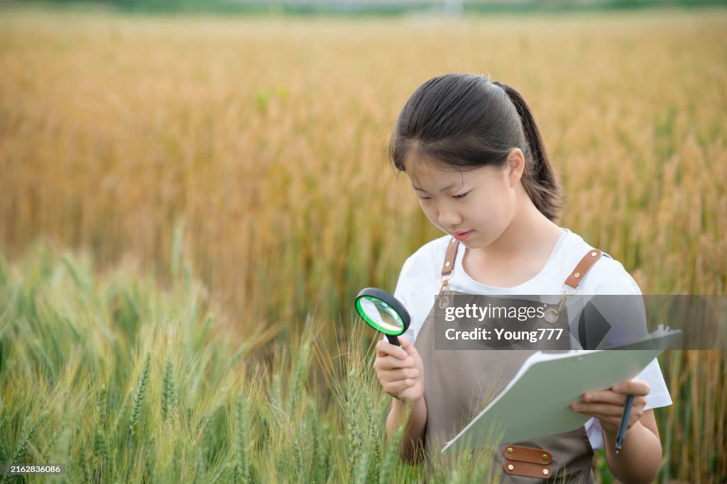 Junior high school student is observing and recording the growth of crops in the agricultural field