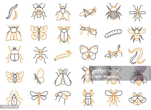 insect and bug icons set in black and orange, editable stroke, vector illustration - praying mantis stock illustrations