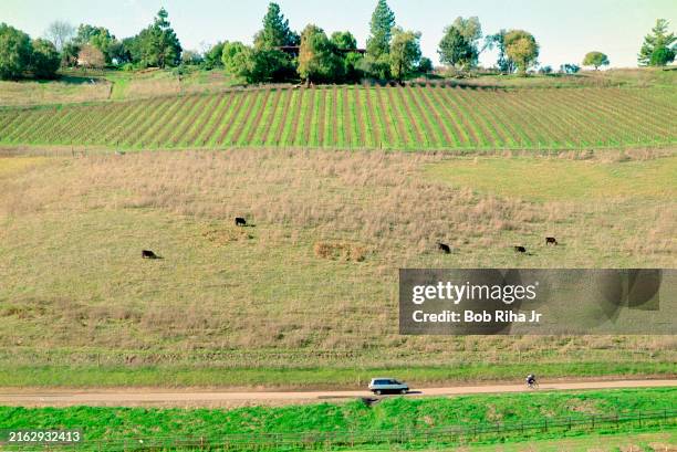 Cyclists on back roads training with United States Olympic Committee 1999 coach of the year and Cycling Technology Coach Chris Carmichael...
