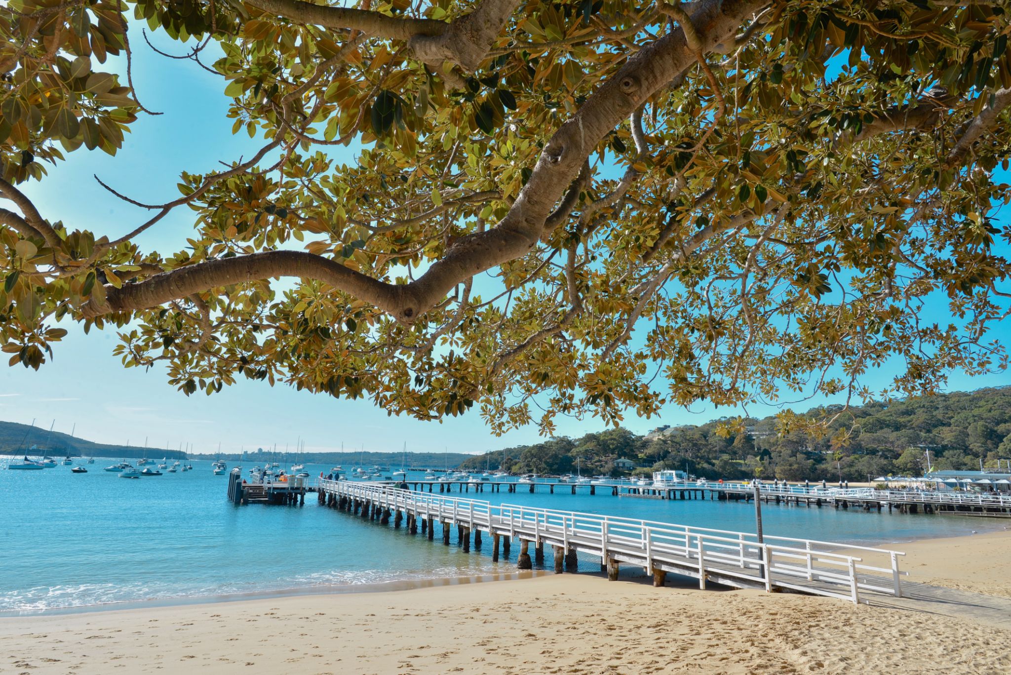 Balmoral beach in Mosman, Sydney Balmoral beach in Mosman, Sydney