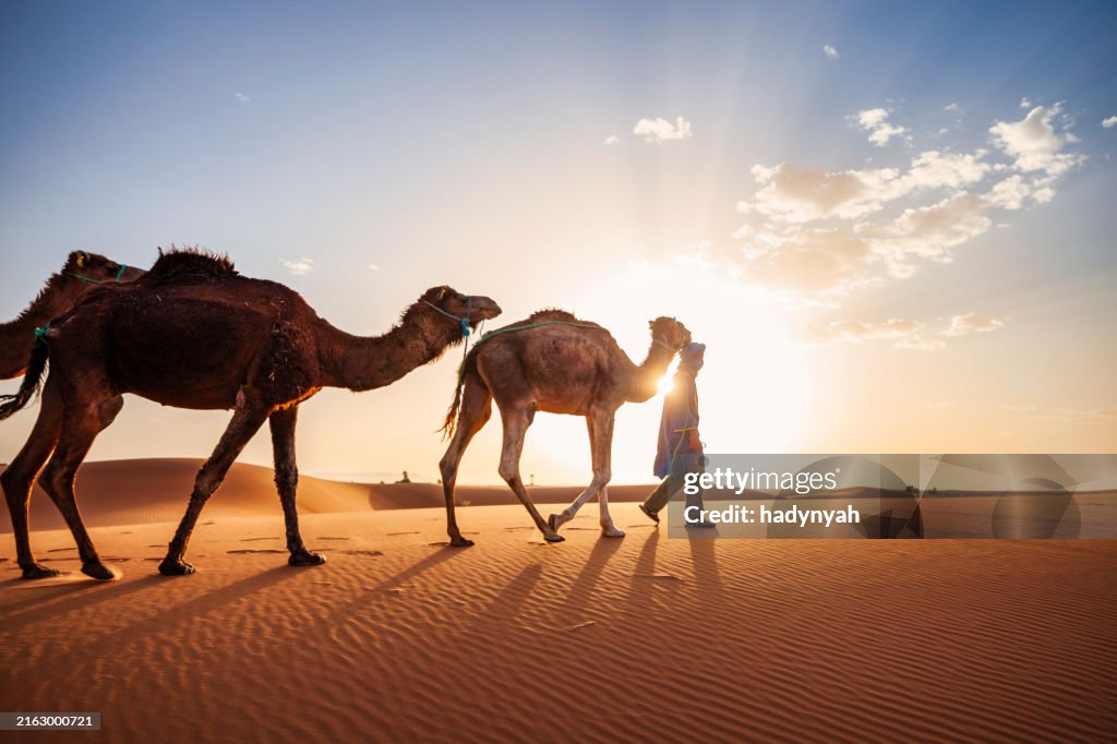 Young Tuareg with camels on Western Sahara Desert in Africa