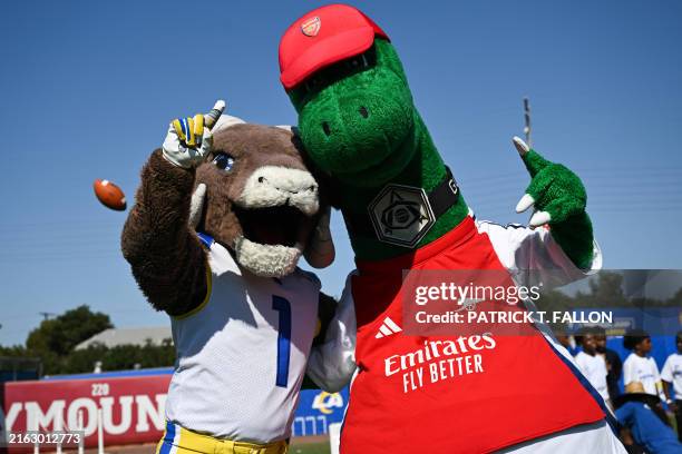 Arsenal Nfl Rams 407 Mascot Gunnersaurus Rex Stock Photos, High-Res Pictures, and Images ...