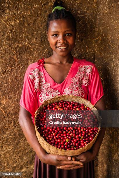 african woman holding basket full of coffee cherries, east africa - organic farm stock pictures, royalty-free photos & images