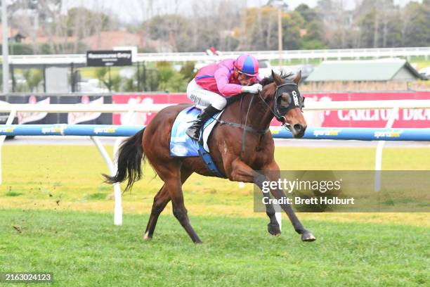 1,431,210 Australian Horse Racing Stock Photos, High-Res Pictures, and ...