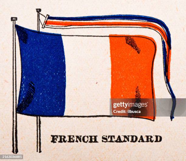 ilustraciones, imágenes clip art, dibujos animados e iconos de stock de ilustración antigua de una bandera, francia, standard (1899) - vintage french flag