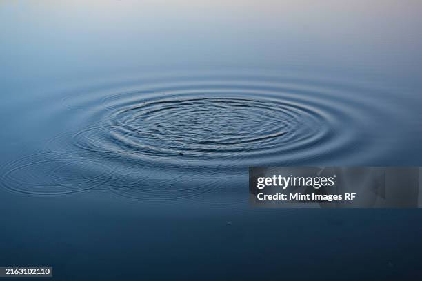 water ring on lake, seattle, washington state - wellenförmig stock-fotos und bilder