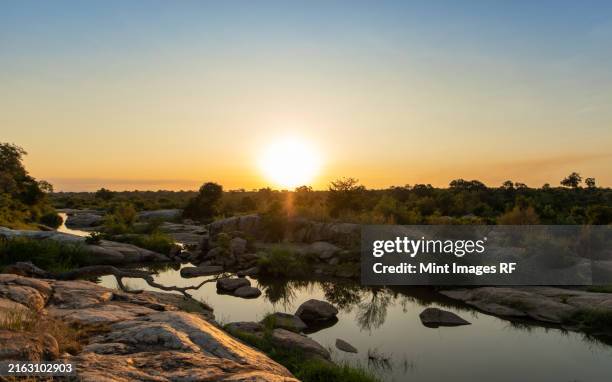 a sunset over a riverine landscape - protección-de-fauna-salvaje fotografías e imágenes de stock