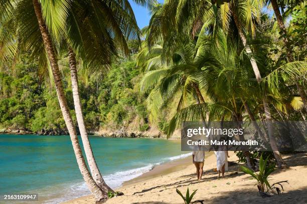 engagement couple in tobago - indian tri color stock pictures, royalty-free photos & images