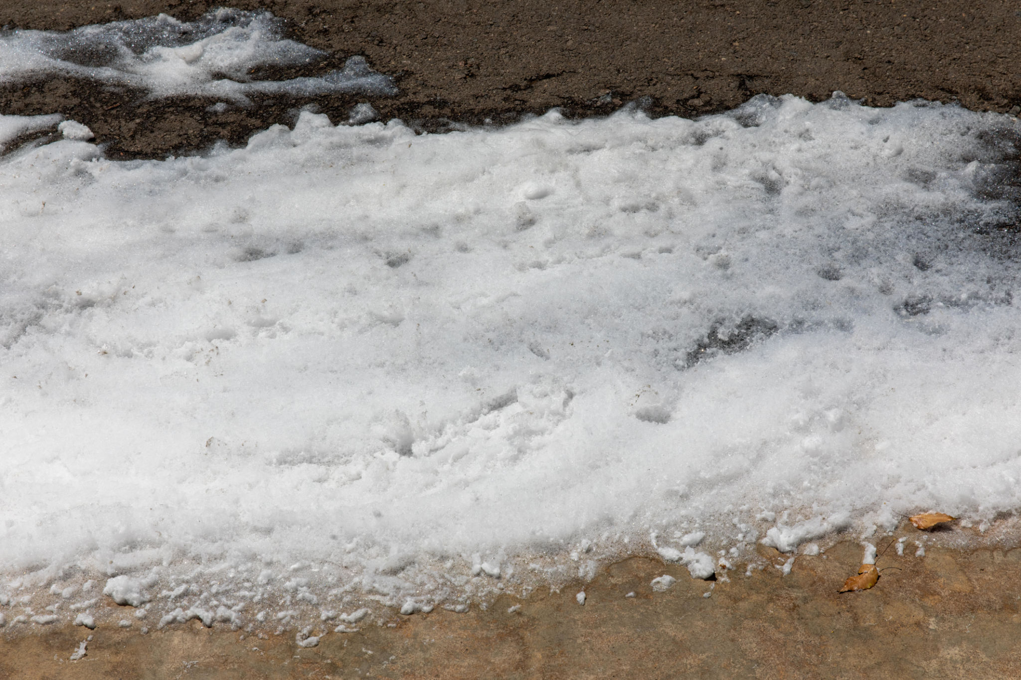pfas environment