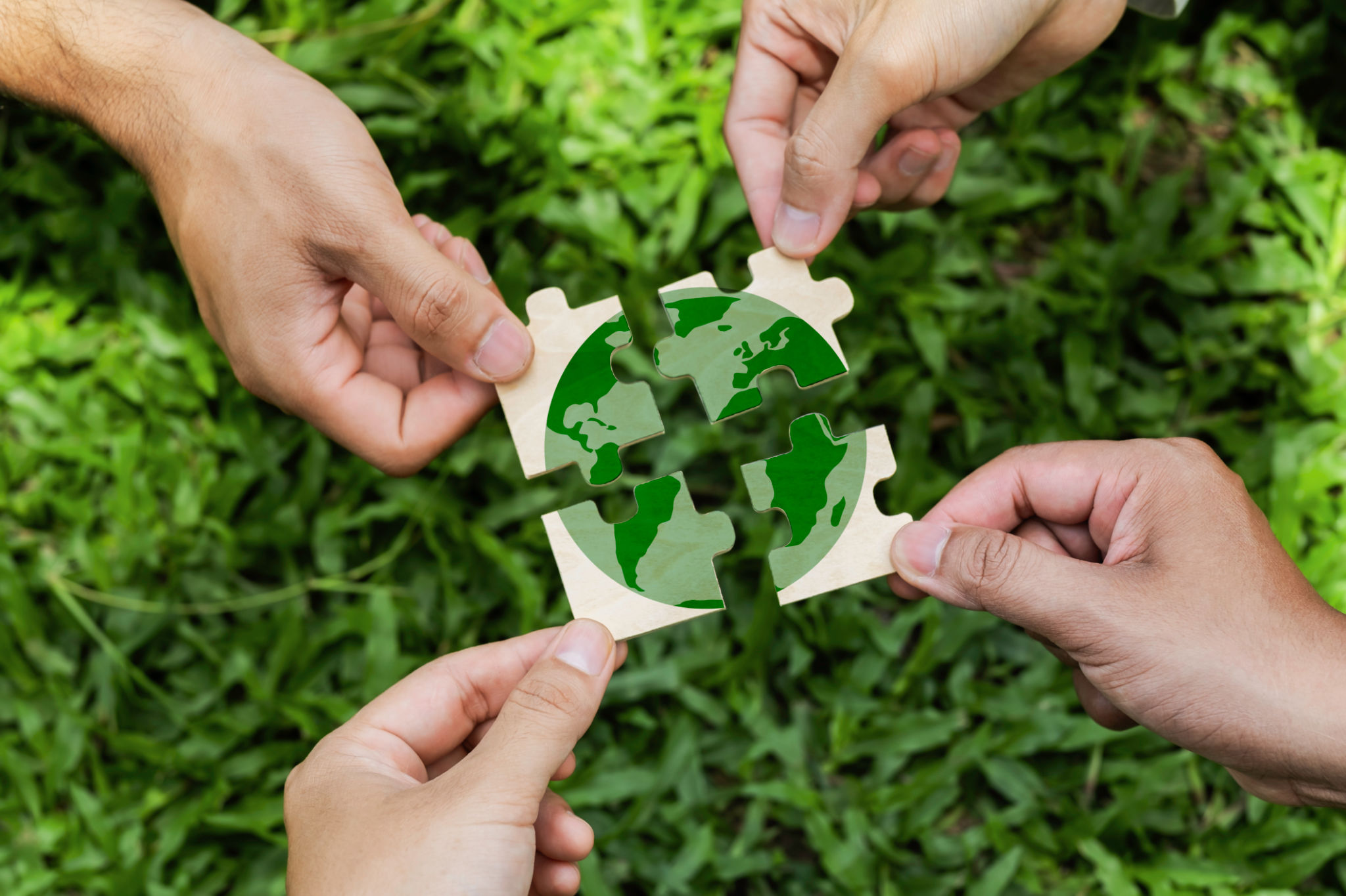 sustainable living