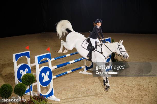 young woman jumping with horse over the hurdle - hurdle stock pictures, royalty-free photos & images
